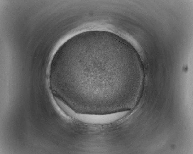 X0000100951528200807081206