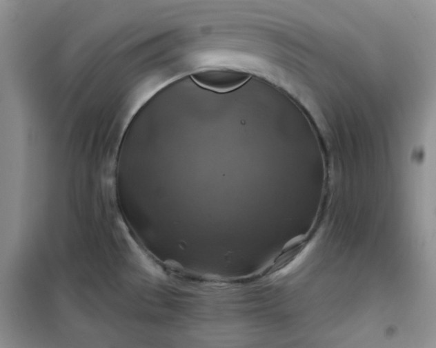 X0000100951529200807081206