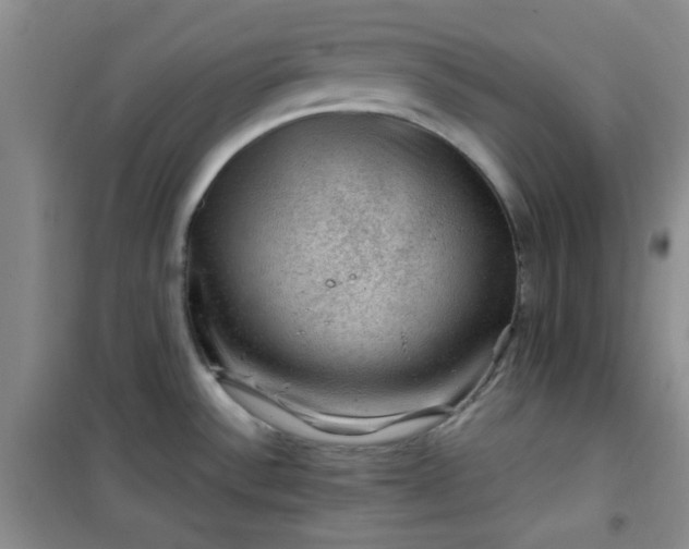 X0000100951532200807081206