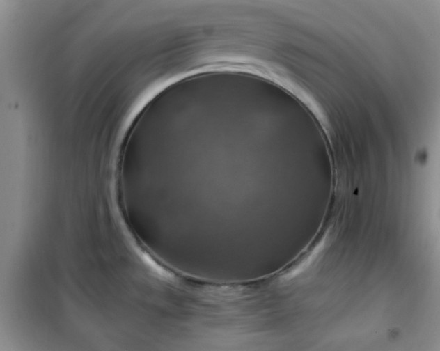 X0000100951533200807081206
