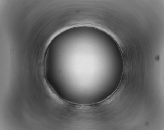 X0000100951534200807081206