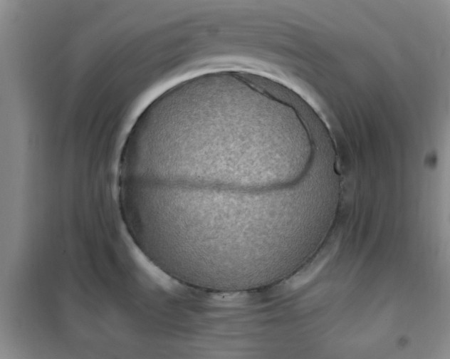 X0000100951535200807081206