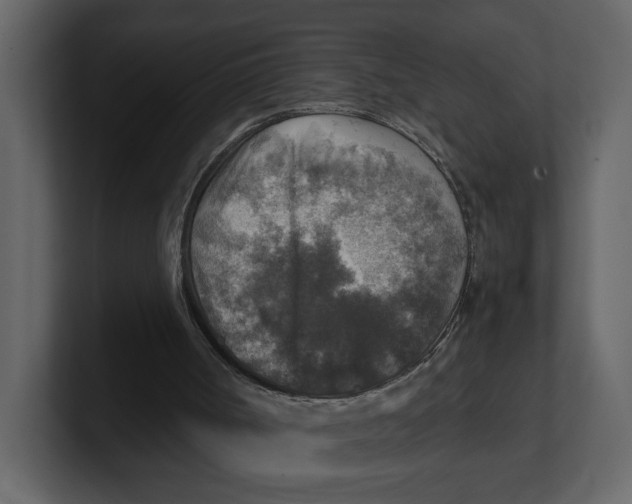 X0000100950002200807151347