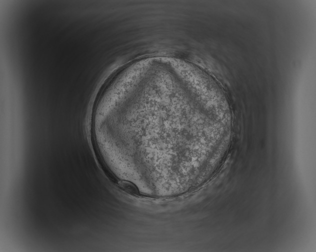 X0000100950003200807151346