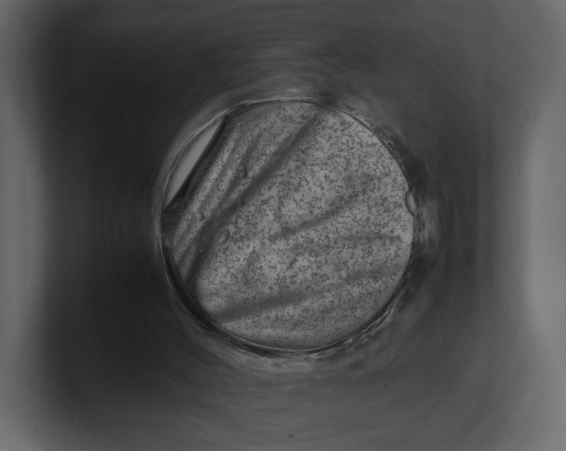 X0000100950004200807151346