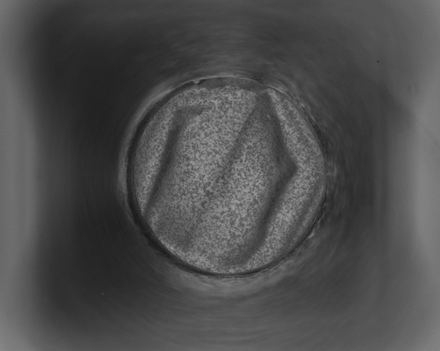 X0000100950006200807151346