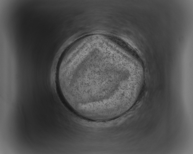 X0000100950007200807151346