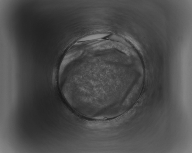 X0000100950009200807151346