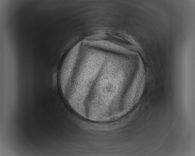 X0000100950010200807151346