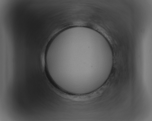 X0000100950011200807151346