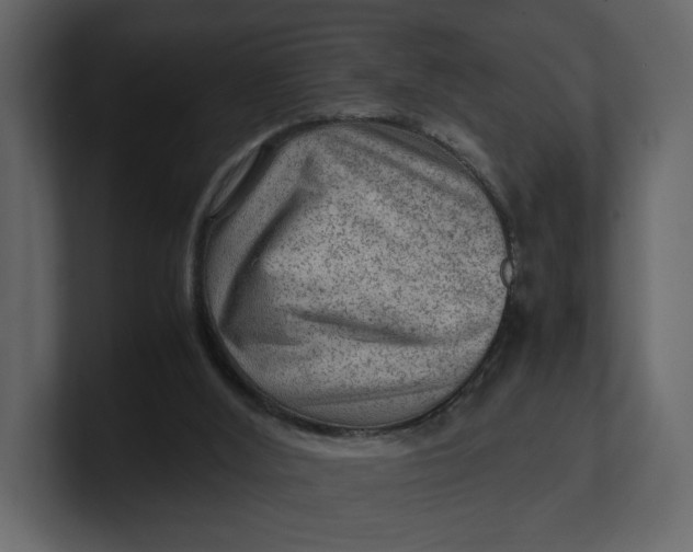 X0000100950012200807151346