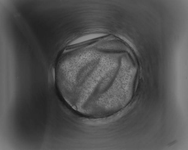 X0000100950013200807151346