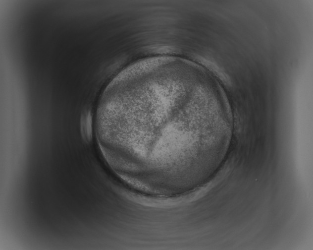 X0000100950014200807151346