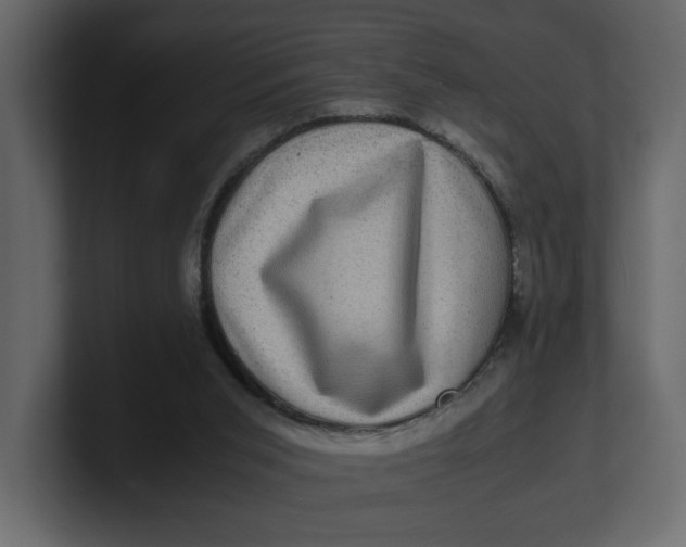 X0000100950015200807151346