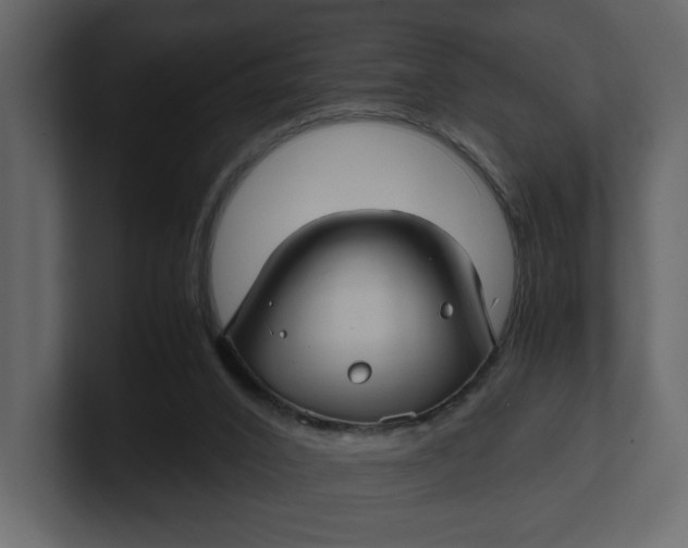 X0000100950016200807151346