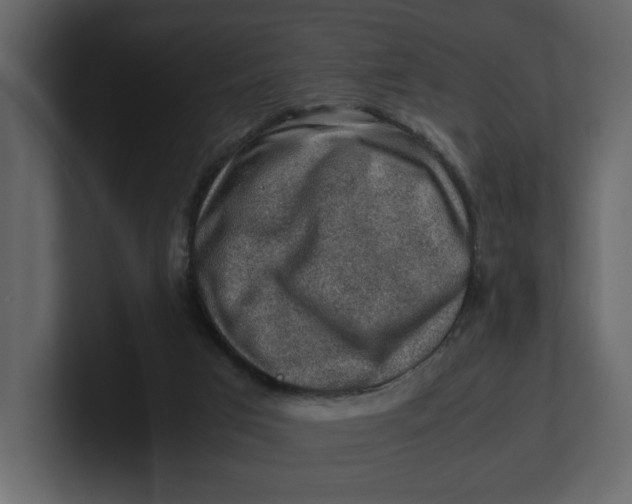 X0000100950017200807151346