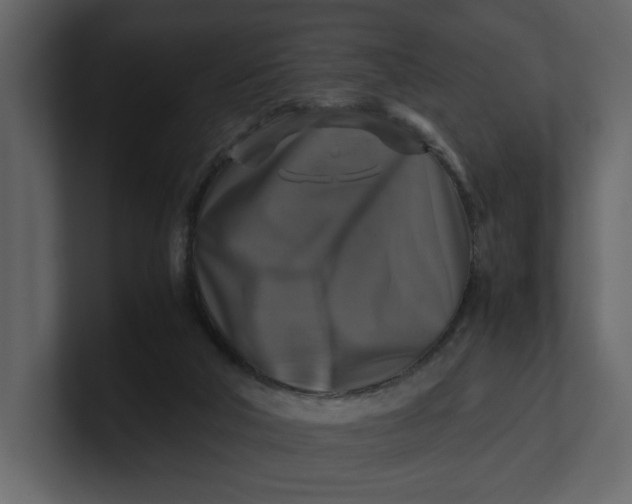 X0000100950018200807151346