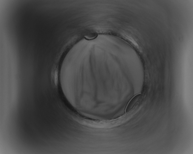 X0000100950019200807151346