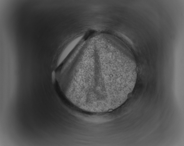 X0000100950020200807151346