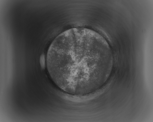 X0000100950022200807151346