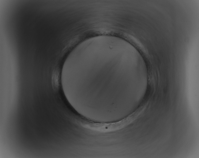 X0000100950023200807151346