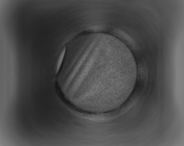 X0000100950024200807151346