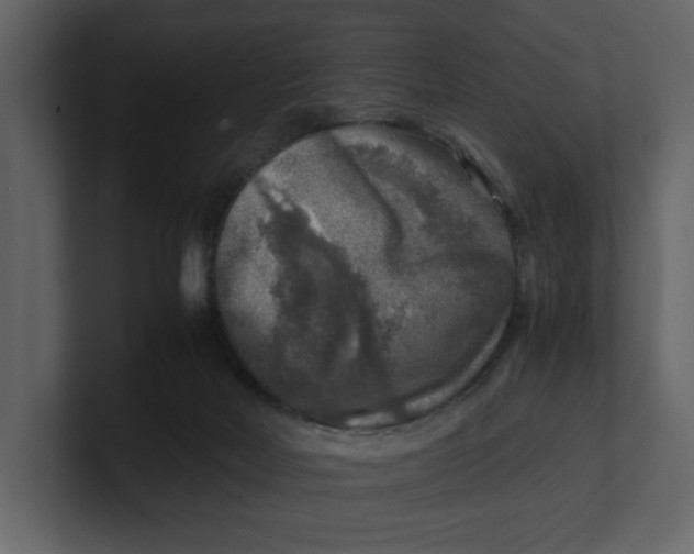 X0000100950026200807151346