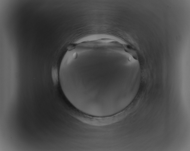 X0000100950027200807151346