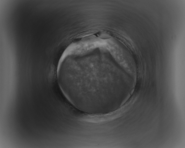 X0000100950029200807151346