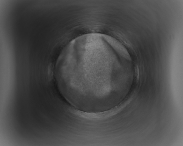 X0000100950030200807151346