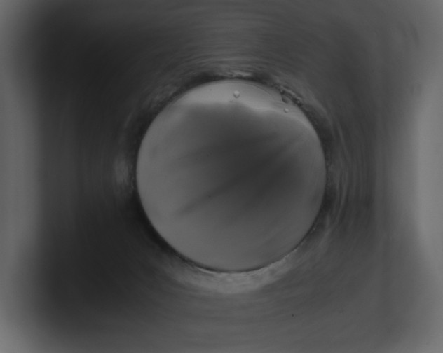 X0000100950031200807151346