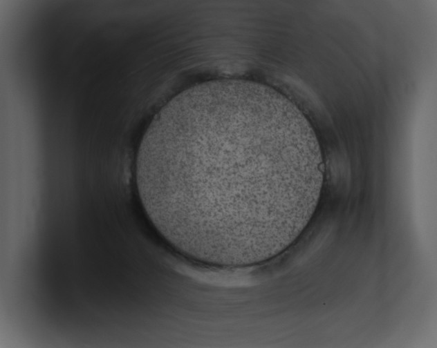 X0000100950032200807151346