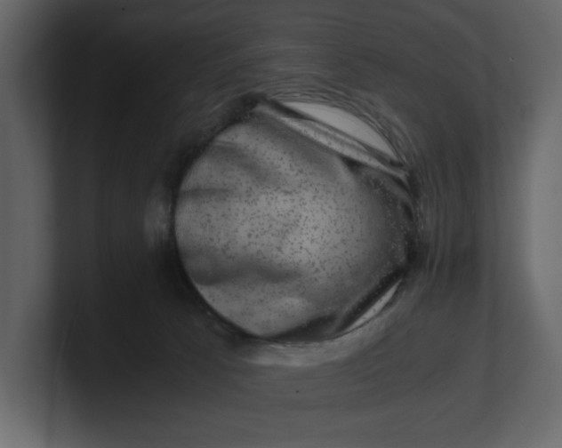 X0000100950033200807151346