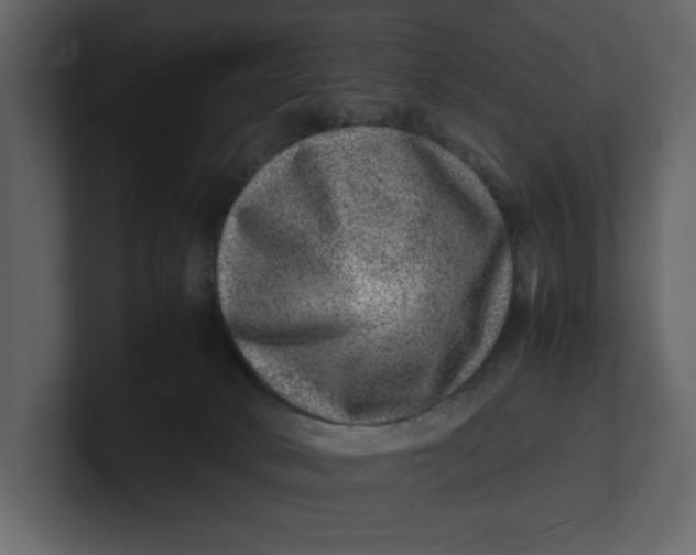 X0000100950034200807151346