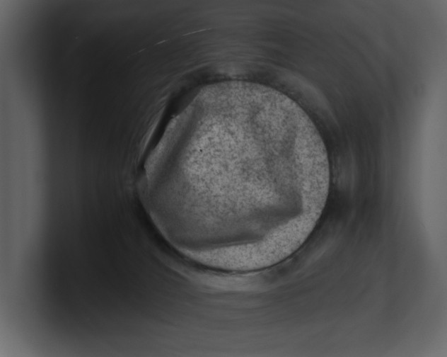 X0000100950036200807151346