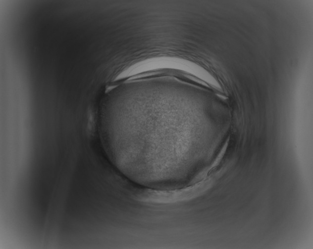 X0000100950037200807151346