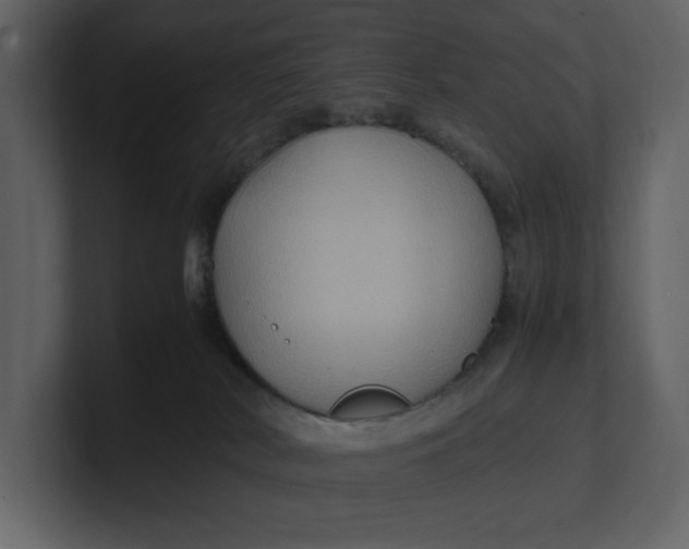 X0000100950038200807151346