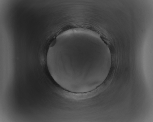 X0000100950039200807151346