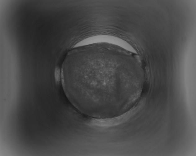 X0000100950041200807151346