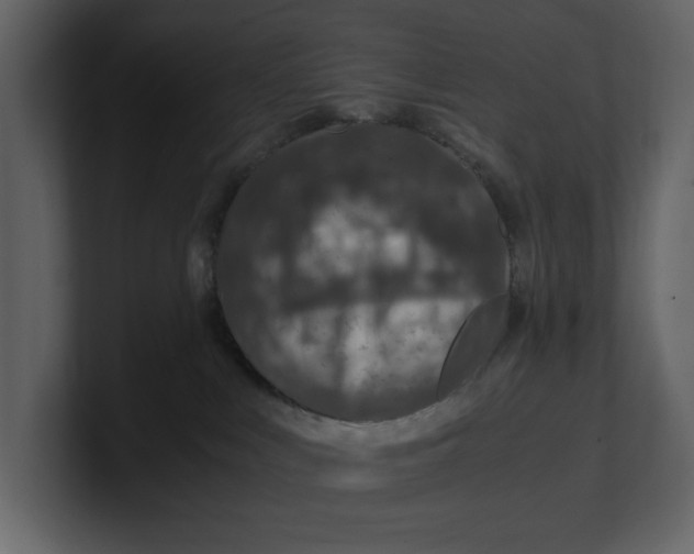 X0000100950043200807151346