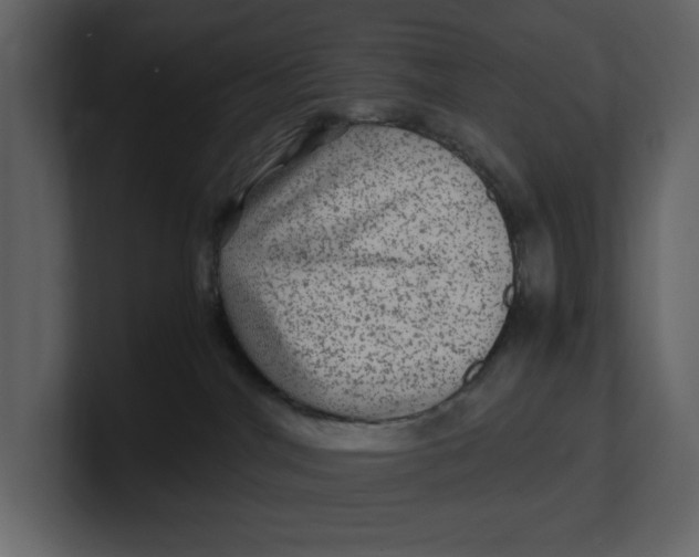 X0000100950044200807151346