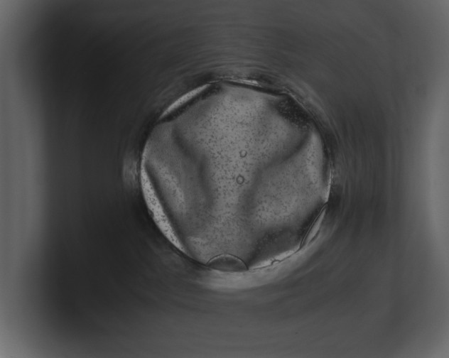 X0000100950045200807151346