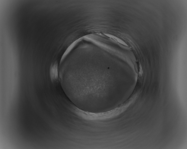 X0000100950046200807151346