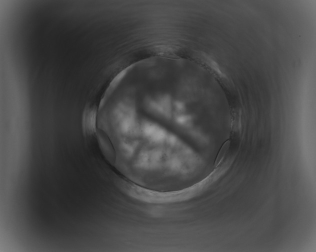 X0000100950047200807151346