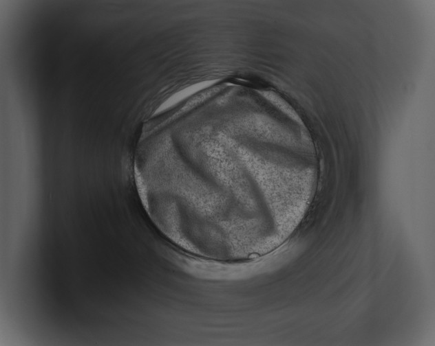 X0000100950048200807151346