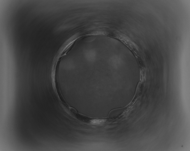 X0000100950051200807151345