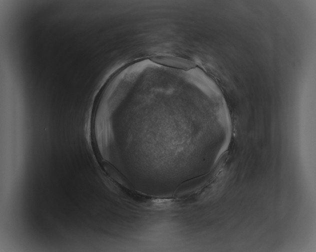 X0000100950052200807151345