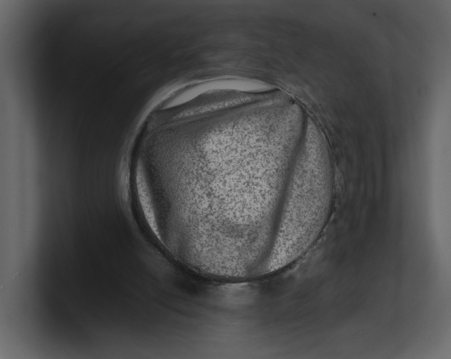 X0000100950054200807151345