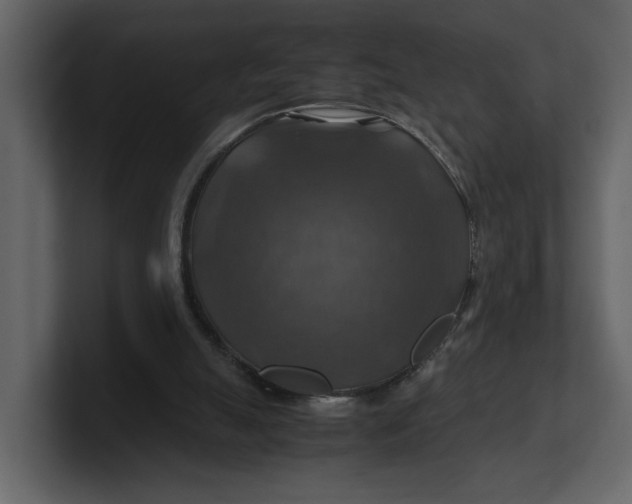 X0000100950055200807151345