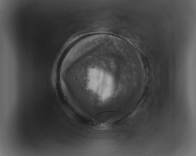 X0000100950056200807151345